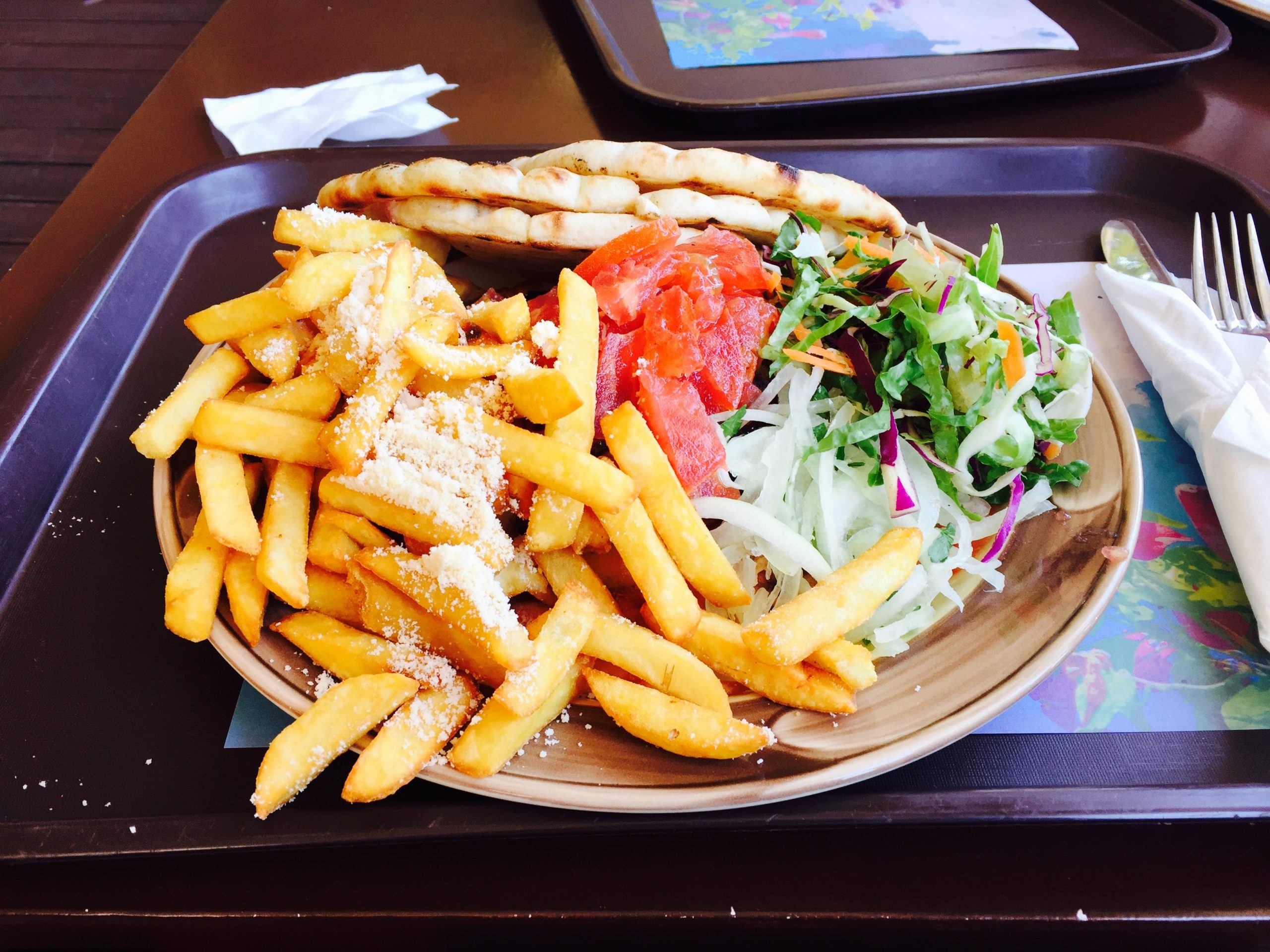 キプロスで食べたピタパンypポテトとサラダが乗ったプレート